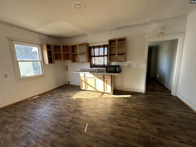 kitchen with dark hardwood / wood-style floors, ornamental molding, and sink