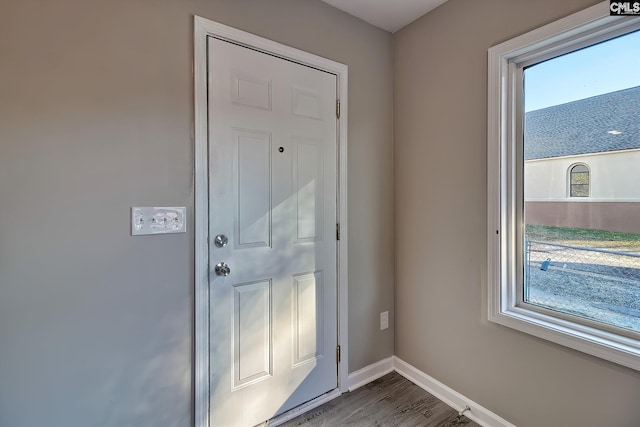 doorway to outside featuring a wealth of natural light and wood-type flooring