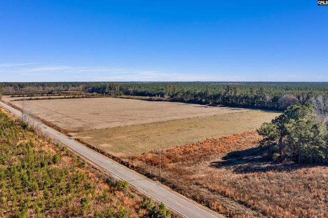 1745 Williams Hill Rd, Hemingway SC, 29554 land for sale