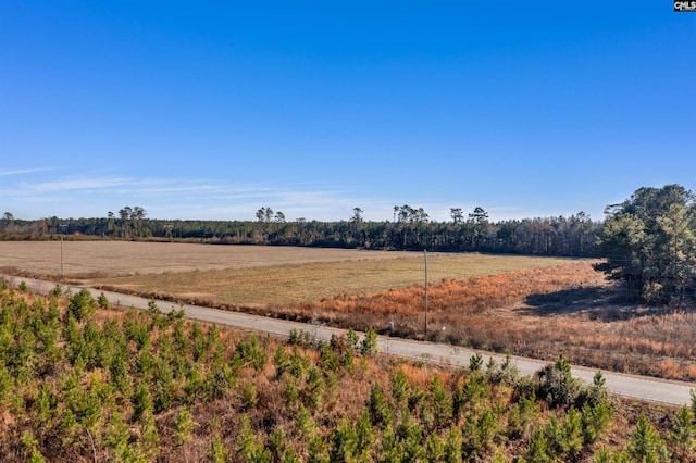 Listing photo 2 for 1745 Williams Hill Rd, Hemingway SC 29554