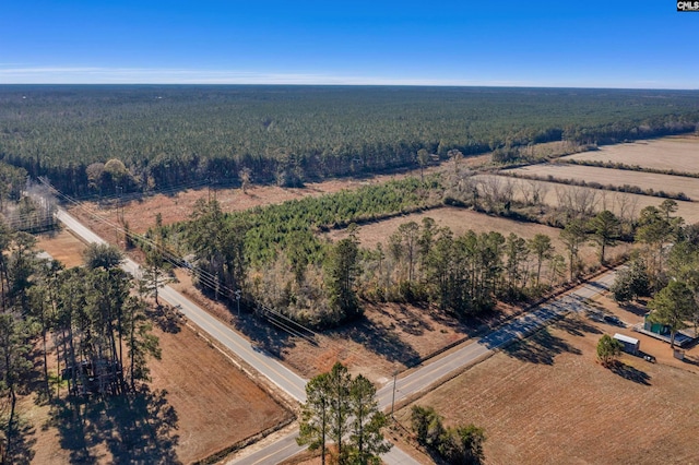 1745 Williams Hill Rd, Hemingway SC, 29954 land for sale