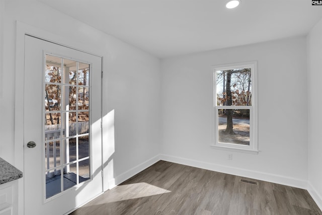 unfurnished room featuring dark wood-type flooring and a healthy amount of sunlight