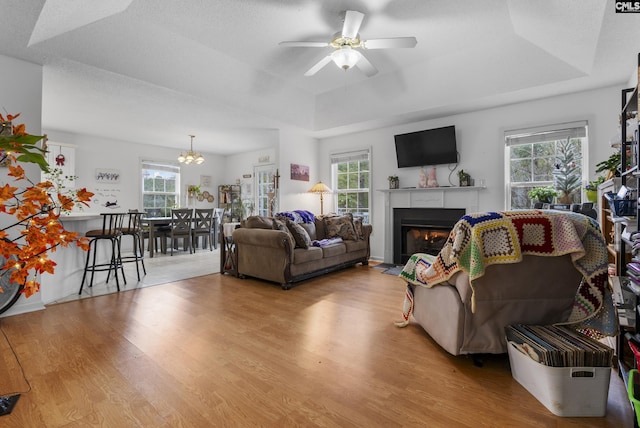 living room featuring ceiling fan with notable chandelier, a raised ceiling, a wealth of natural light, and light hardwood / wood-style flooring