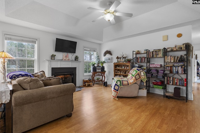 living room with ceiling fan, a tray ceiling, a healthy amount of sunlight, and light hardwood / wood-style flooring