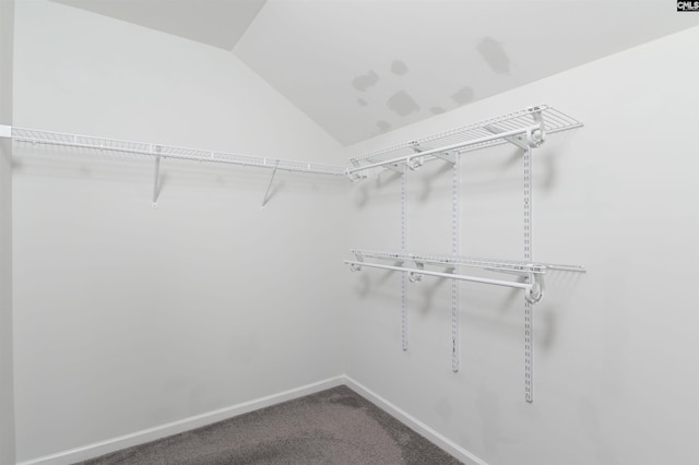 walk in closet featuring lofted ceiling and carpet