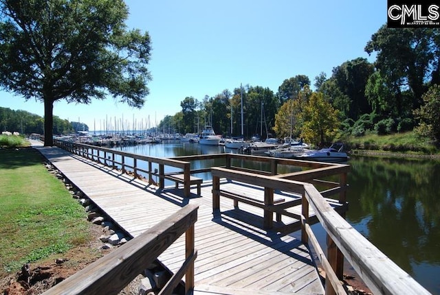 dock area with a water view