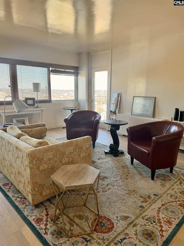 living room with hardwood / wood-style floors