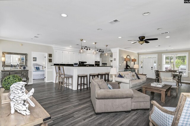 living room featuring ceiling fan, crown molding, and dark hardwood / wood-style flooring