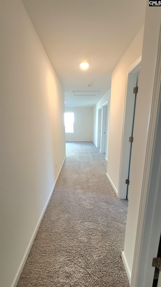 hall with baseboards and carpet floors