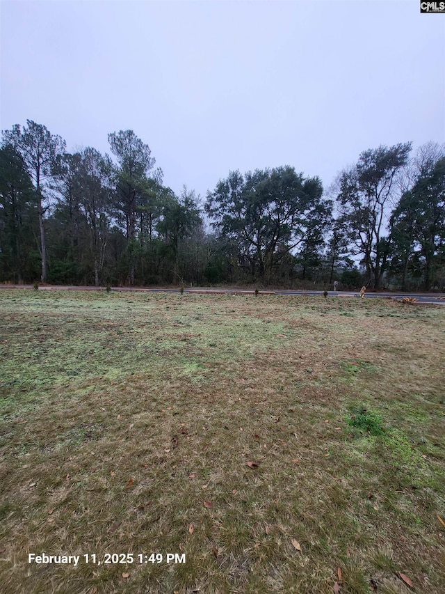 view of yard with a rural view