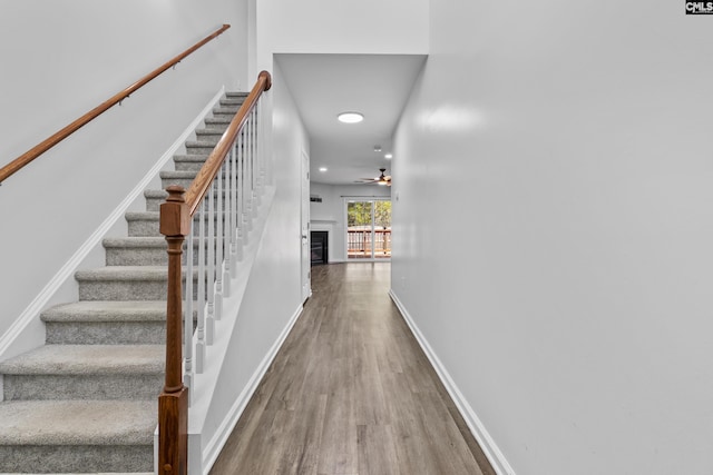 stairway with ceiling fan and wood-type flooring