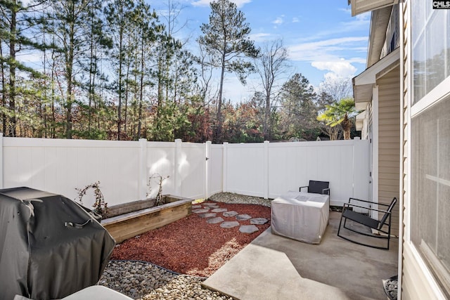 view of patio / terrace with area for grilling