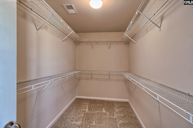 spacious closet with carpet floors