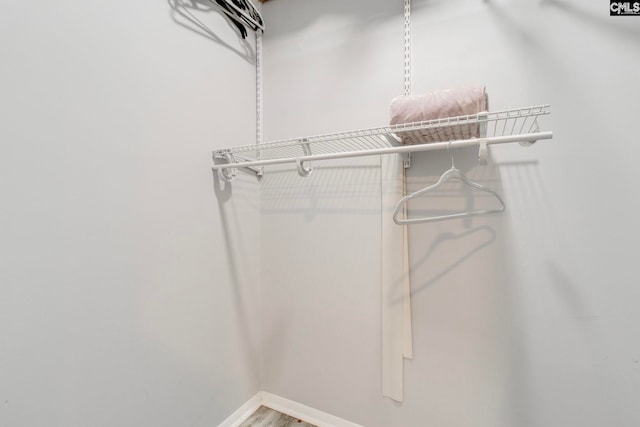 spacious closet featuring wood-type flooring