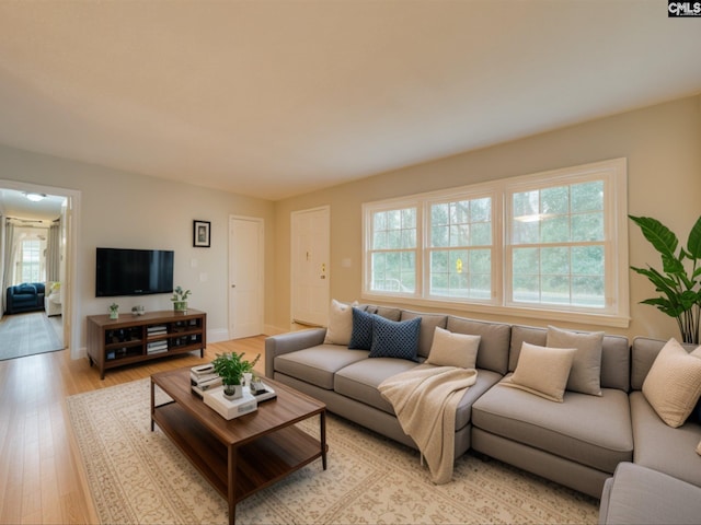 living room with light hardwood / wood-style floors