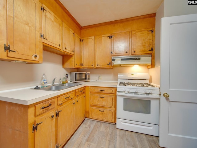 kitchen featuring sink, light hardwood / wood-style flooring, and gas range gas stove