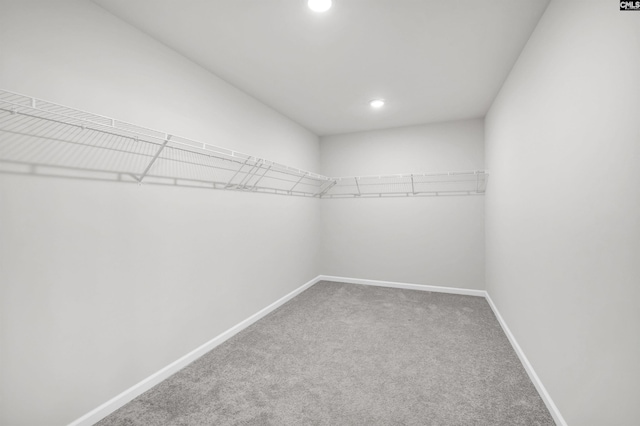 walk in closet with carpet