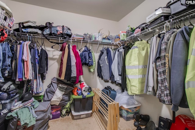 spacious closet featuring carpet flooring