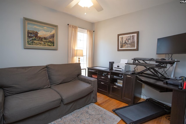 office with ceiling fan and light hardwood / wood-style flooring