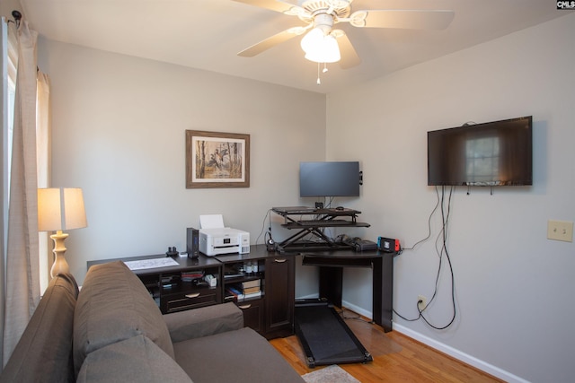 home office with ceiling fan and light hardwood / wood-style floors