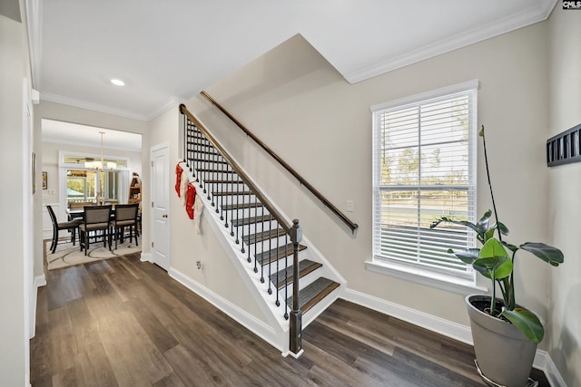 staircase with wood-type flooring, an inviting chandelier, and crown molding