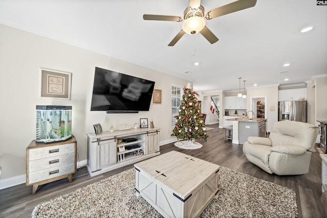 living room with dark wood-type flooring, ceiling fan, crown molding, and sink