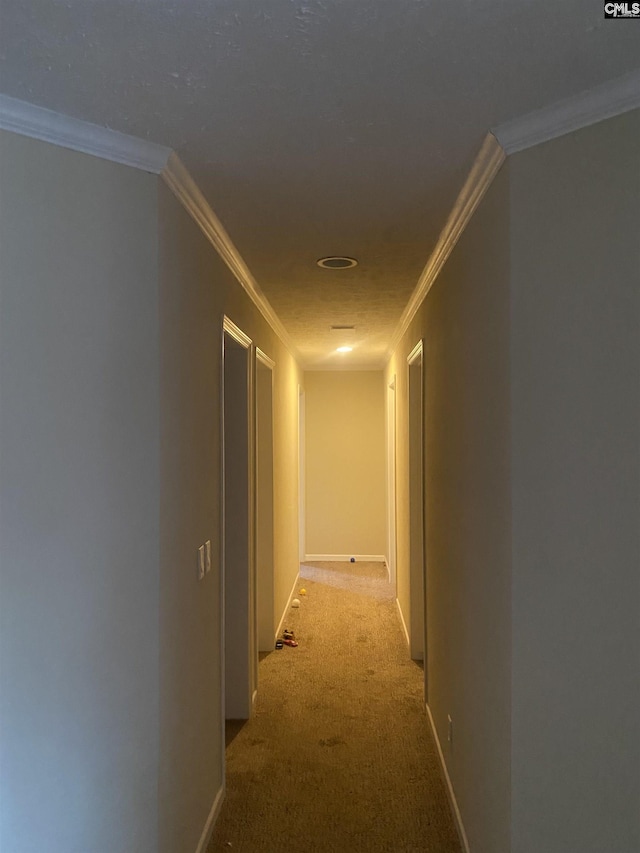 corridor with crown molding and light carpet