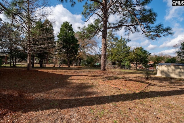 view of yard featuring a storage unit