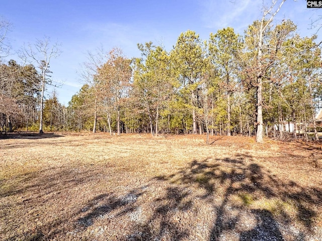 view of local wilderness