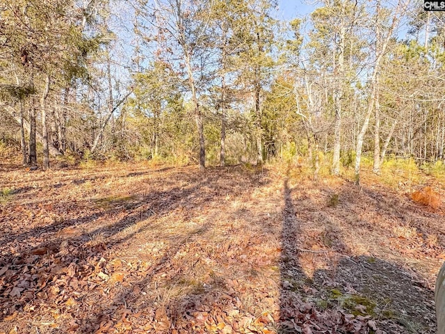 view of landscape