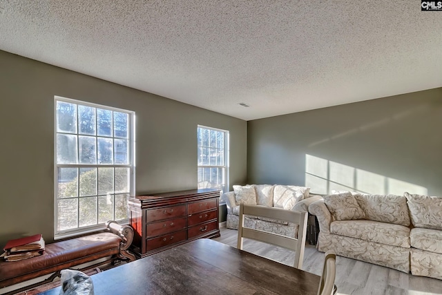 living room with a textured ceiling and light hardwood / wood-style flooring