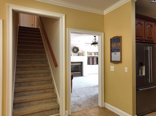 stairs featuring ceiling fan, crown molding, and carpet