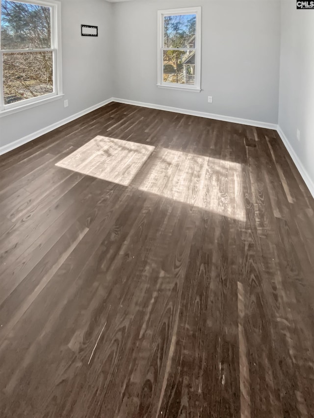 spare room with dark wood-type flooring