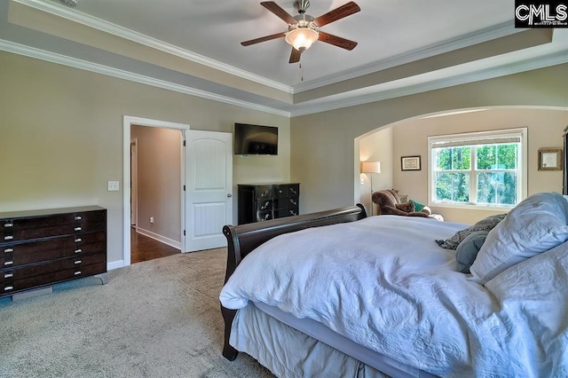 bedroom featuring carpet floors, ornamental molding, a raised ceiling, and ceiling fan