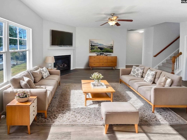 living room featuring ceiling fan and dark hardwood / wood-style flooring