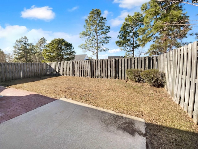 view of yard featuring a patio area