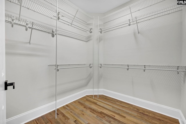 spacious closet with wood-type flooring