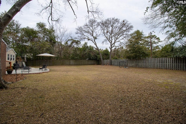 view of yard featuring a patio