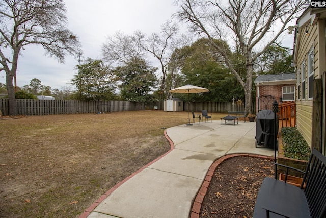 view of yard featuring a patio and a shed