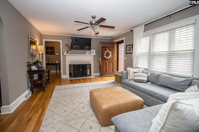 living room with ceiling fan, crown molding, and wood-type flooring