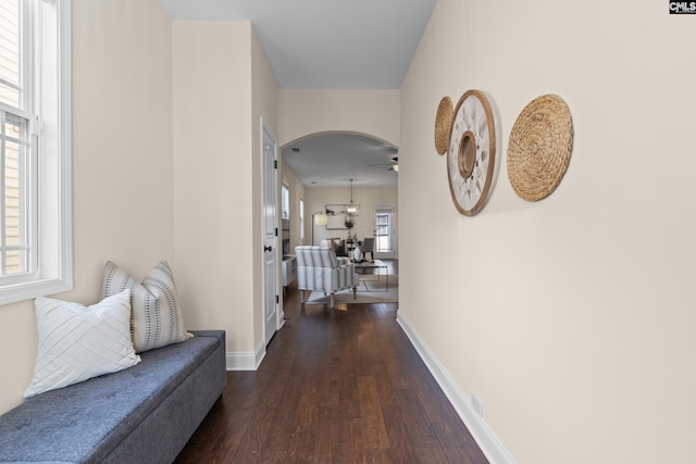 corridor featuring a healthy amount of sunlight and dark wood-type flooring