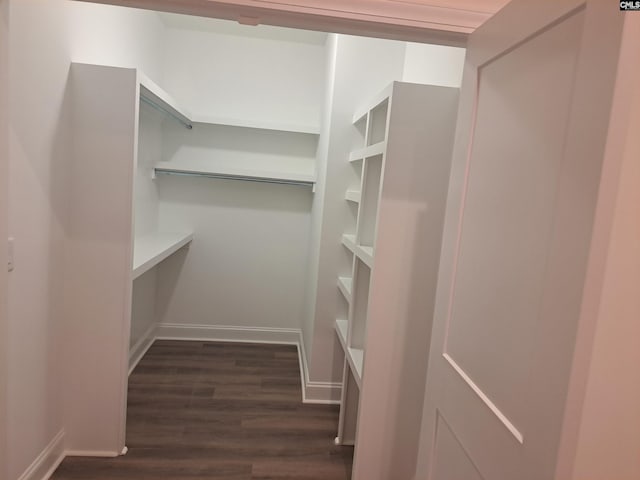 walk in closet with dark hardwood / wood-style floors