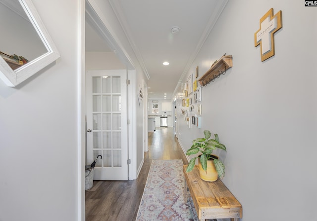 hall featuring dark hardwood / wood-style flooring and crown molding