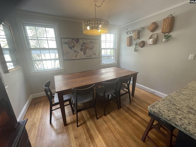 dining room featuring crown molding and hardwood / wood-style flooring