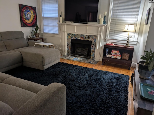 living room with wood-type flooring