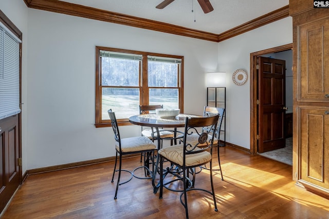 dining space featuring ceiling fan, light hardwood / wood-style flooring, and crown molding