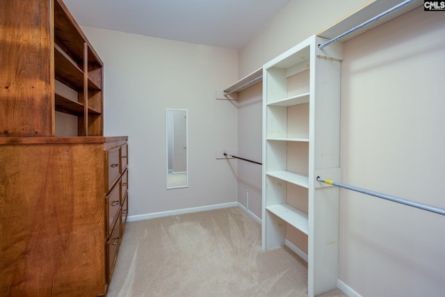 spacious closet featuring light colored carpet