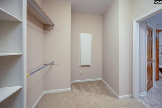 spacious closet with light colored carpet