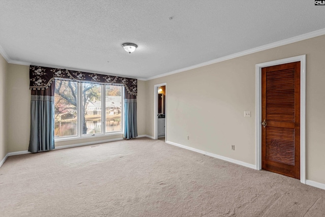 empty room featuring carpet, crown molding, and a textured ceiling