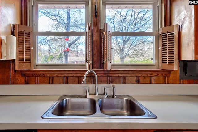 kitchen featuring sink and a wealth of natural light